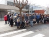 carnavalescolarpiusxiionda-9