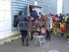 carnavalpavelloonda-38