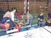 carnavalpavelloonda-65