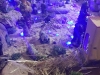 img-20171222-wa0040