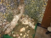 img-20171222-wa0208