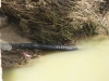 acequia-del-otro-lado