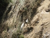 acequia-puente