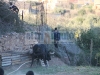 img_0171_0