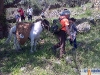 img-20130505-00088