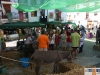 140811mercadomoriscoayodar-008